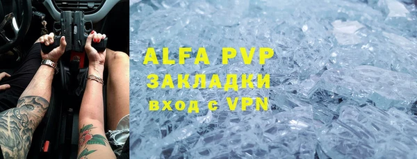 СК Белокуриха