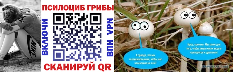 как найти закладки  Данков  Псилоцибиновые грибы Cubensis 